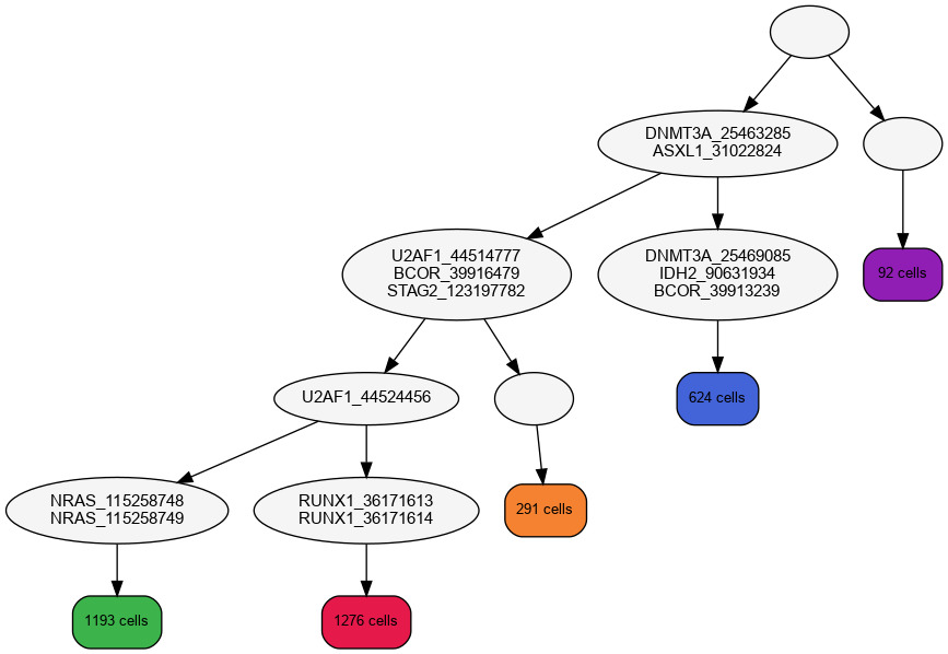 Phylogenetic_tree