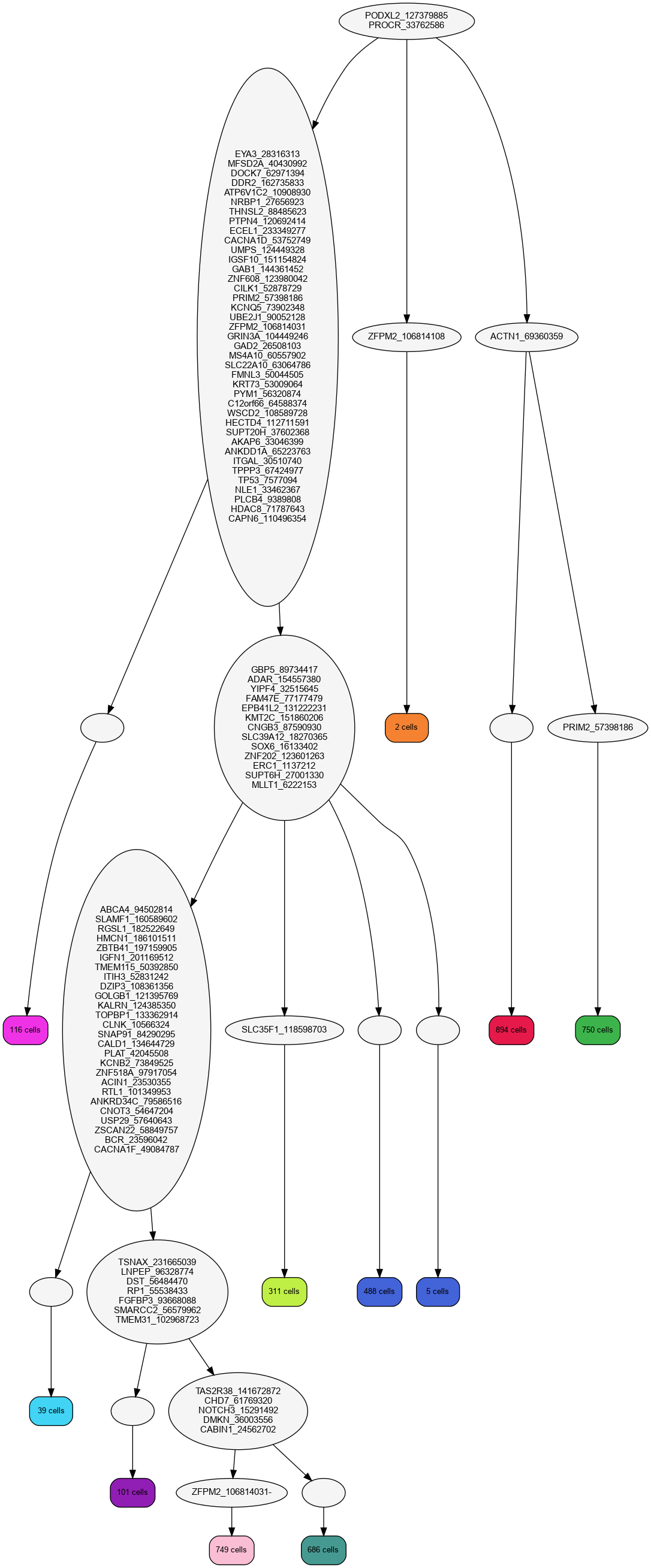 Phylogenetic_tree